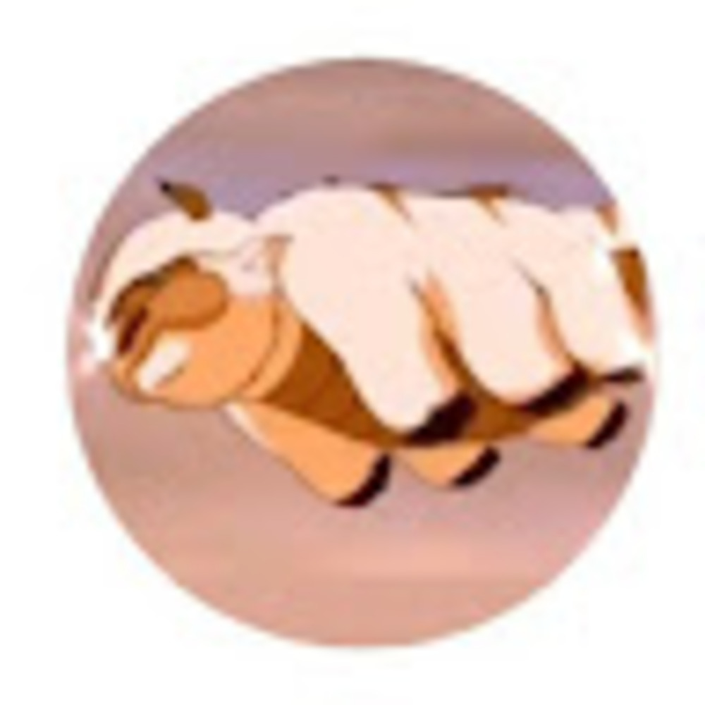 Meet your Posher, Lilianna